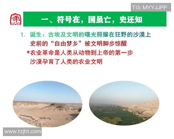 埃及足球传奇10号的辉煌历程与影响力解析