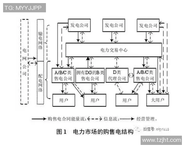 体育品牌代理商的种类与选择指南全面解析