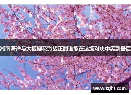 湘南海洋与大板樱花激战正酣谁能在这场对决中笑到最后